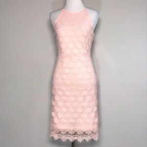 Aqua Women’s Pink Lace Sheath Halter Midi Dress Size Small